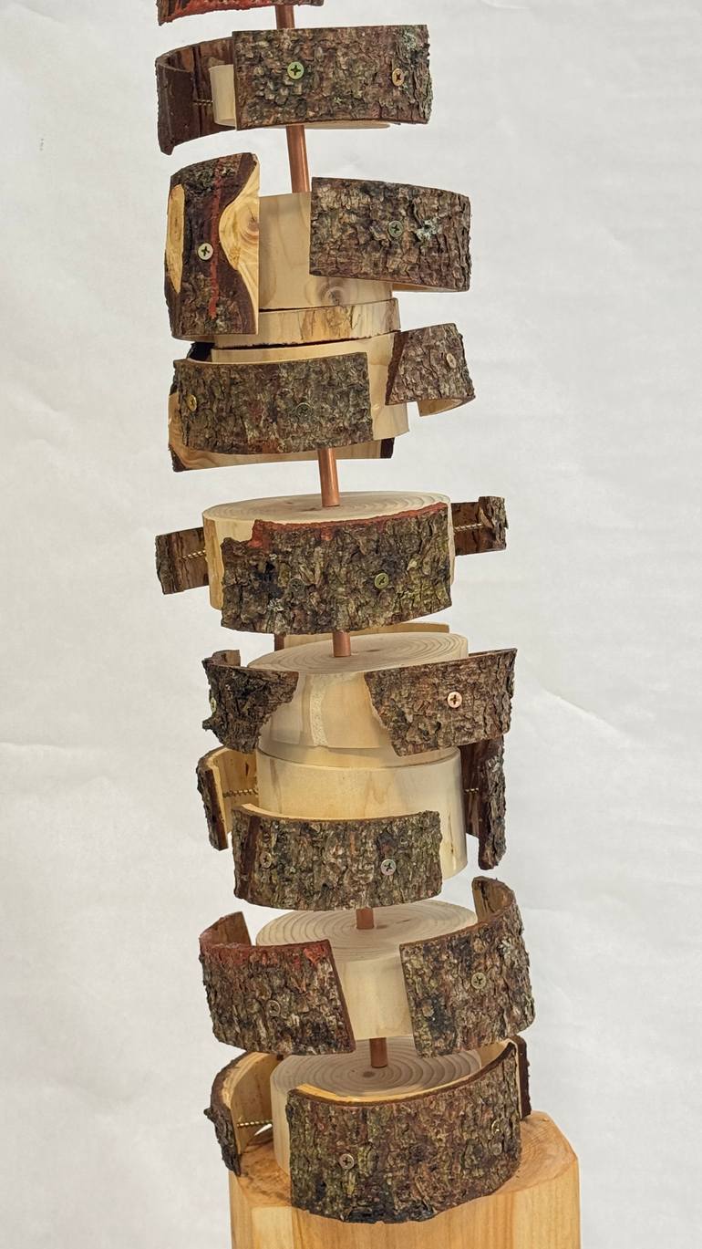 Original Abstract Expressionism Abstract Sculpture by Brett Polonsky