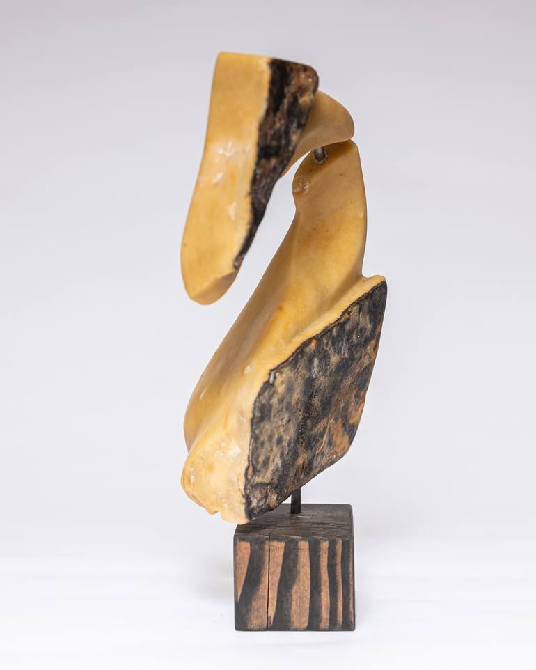 Original Fine Art Abstract Sculpture by Brett Polonsky