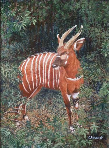 Original Animal Painting by Carol Irish