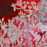 Collection Red, White & Blue