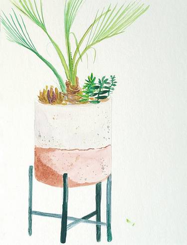 Modern planter with fern and succulents thumb