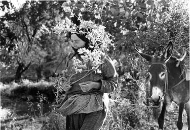 Crete Woman with donkey - Limited Edition 1 of 10 thumb