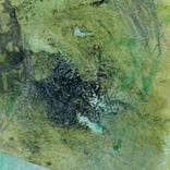 Collection Full Moon Frog Pond -> 8" x 10" on Paper