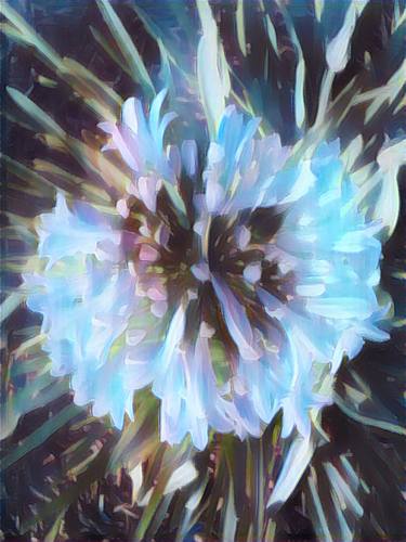 Purple flower - Edited in Prisma app with Leya style thumb