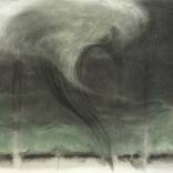 Funnel Cloud by Judith Brandon