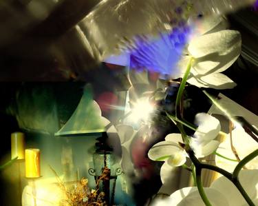 White orchid, green lamp,discombobulated perception. Limited Edition Print, on canvas, 1 of 7. thumb
