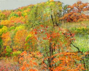 S.E. Michigan Fall Colors, Limited Edition Print on Canvas, 1/7 thumb