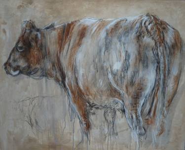 Original Cows Paintings by Mandy Racine