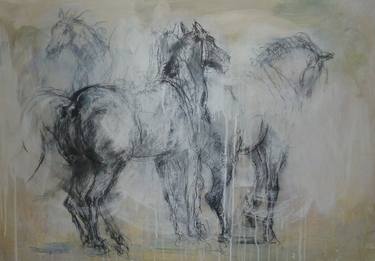 Original Horse Drawings by Mandy Racine