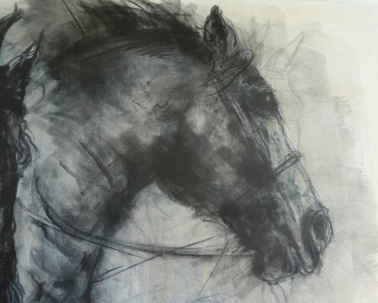 Original Expressionism Horse Drawing by Mandy Racine