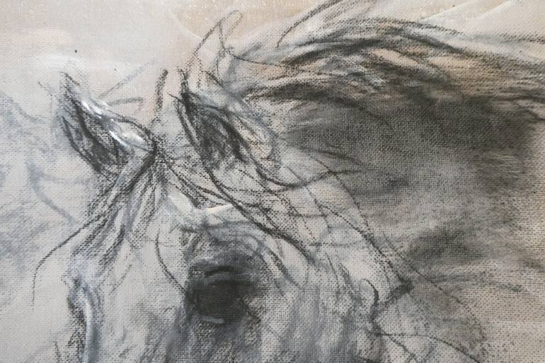 Original Horse Drawing by Mandy Racine