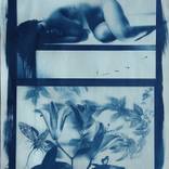 Cyano-Blue by Henk Pasman