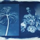 Cyano-Blue by Henk Pasman