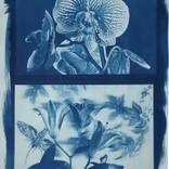 Cyano-blue by Henk Pasman