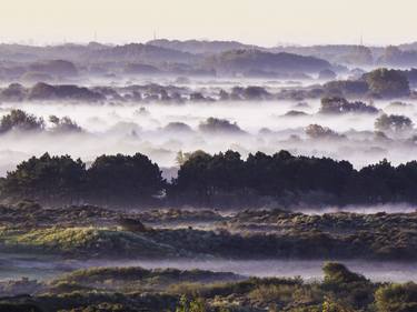 Morning Mist in the dunes (edition of 10) thumb