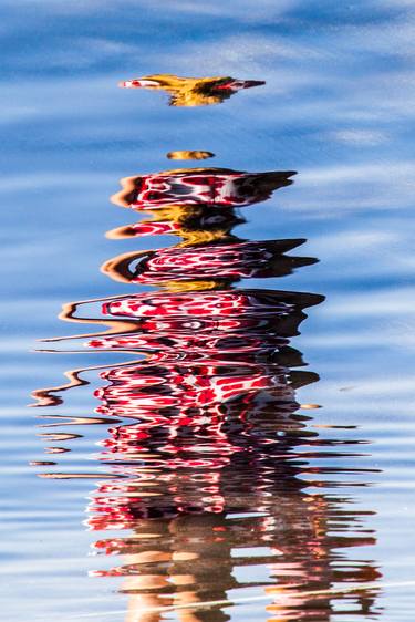 Print of Abstract Photography by Udo Geisler