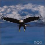 Free by Marty McWilliams