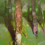 Forest Trees by Vahe Yeremyan