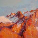Collection Landscape