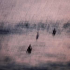 Untitled, SURF, 1/8