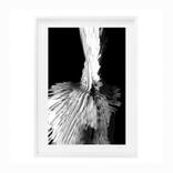 FLOW 001 by Emmanuel Touraine