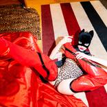 Collection Quarantined Pussycat series