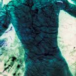 Collection "Underwater" series