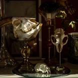 Collection Found/Fragments series