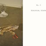 Collection The Invisible Girl, Text and Installation Photography