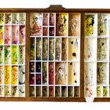 Collection Paintings