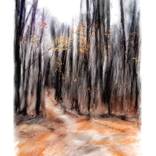 Collection Digital paintings