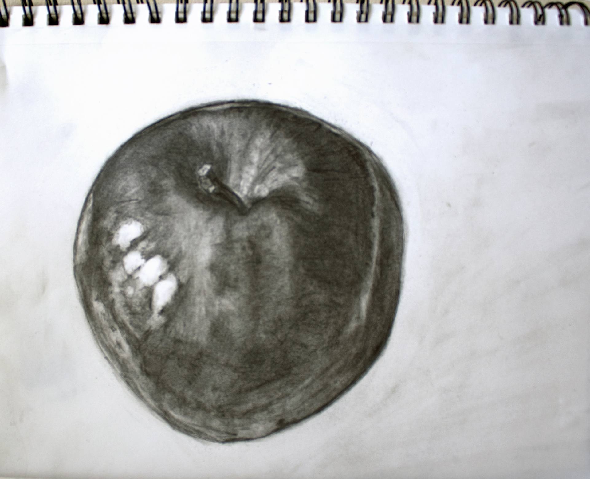 pencil drawing apple