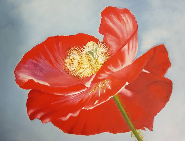 Original Realism Nature Painting by Dianne Hamer