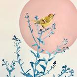 Myosotis by Sylvie Demers