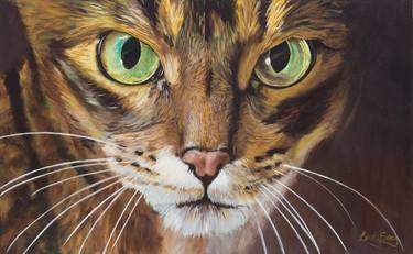 Original Realism Animal Paintings by Lewis Evans