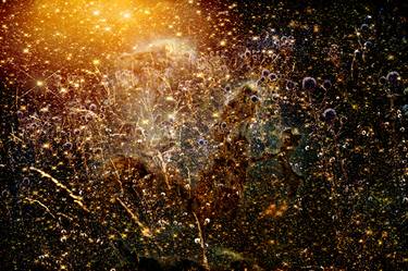Original Abstract Nature Photography by Unity Art Nabiha And Thom