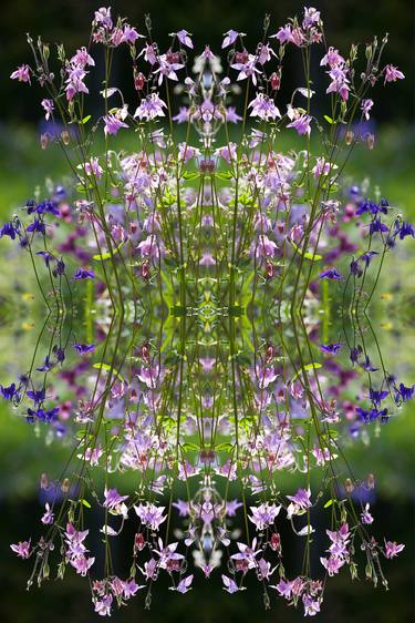 Original Abstract Nature Photography by Unity Art Nabiha and Thom