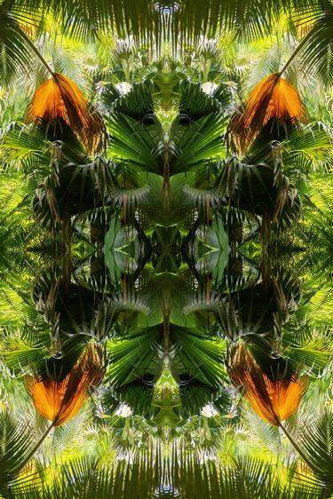 Original Abstract Nature Photography by Unity Art Nabiha and Thom