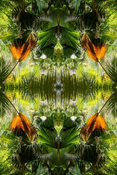 Original Abstract Expressionism Nature Photography by Unity Art Nabiha and Thom