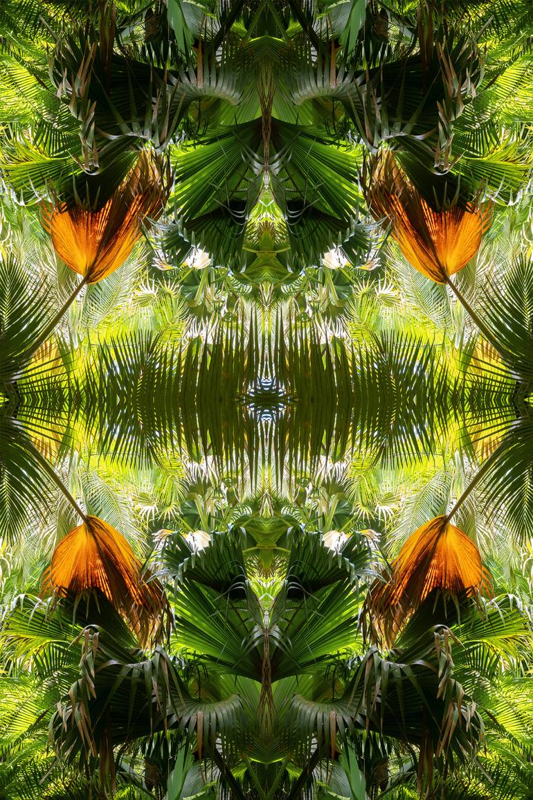 Original Abstract Expressionism Nature Photography by Unity Art Nabiha And Thom