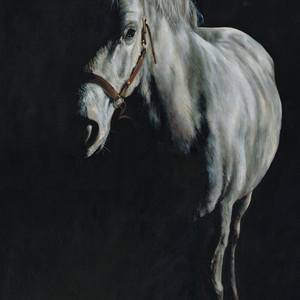 Collection Equestrian paintings and drawings