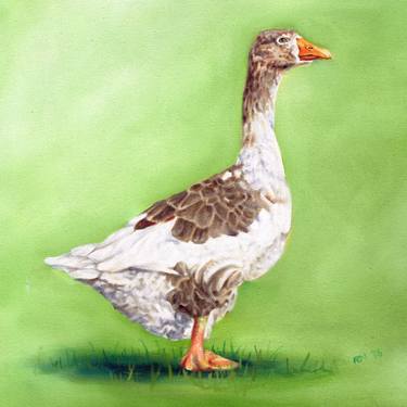 Original Animal Paintings by Richard Mountford