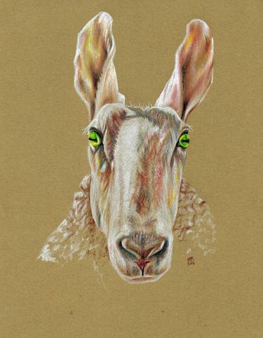 Print of Figurative Animal Drawings by Richard Mountford