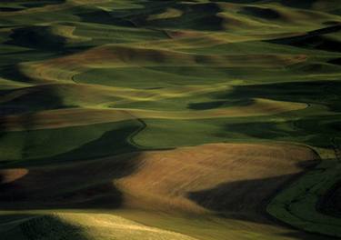 Palouse thumb