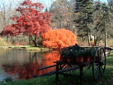 Autumn On The Pond thumb