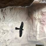 imaginary freedom by Petra Senn