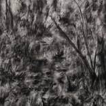 Untitled 16 SOLD by Milo Camilo