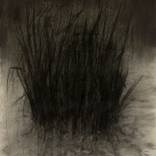Untitled 17 SOLD by Milo Camilo