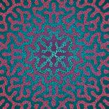 Symmetry Series #1 by Andrew Werth