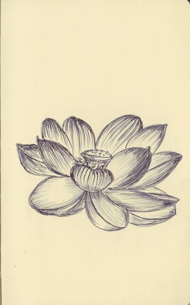 Print of Fine Art Floral Drawings by Ballpointpen Illustrator